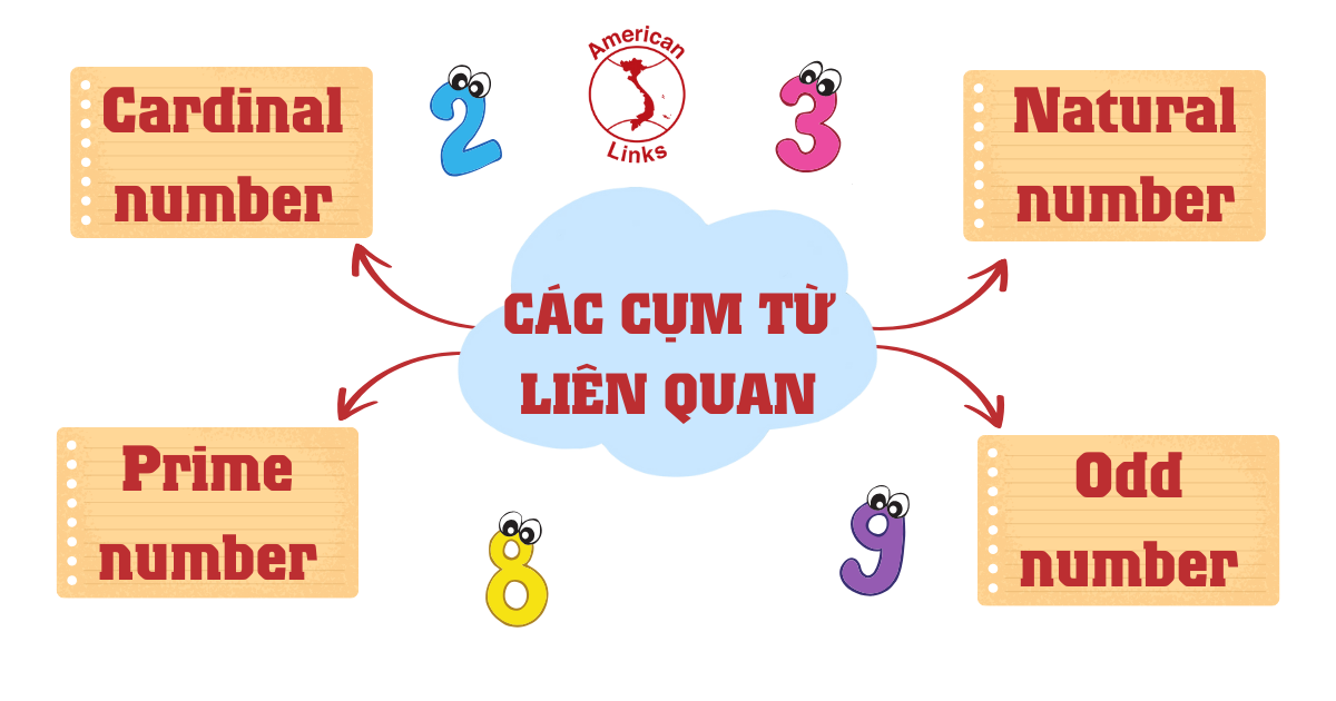 Các cụm từ liên quan