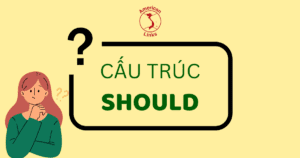 cấu trúc should