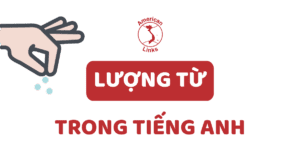 lượng từ trong tiếng Anh